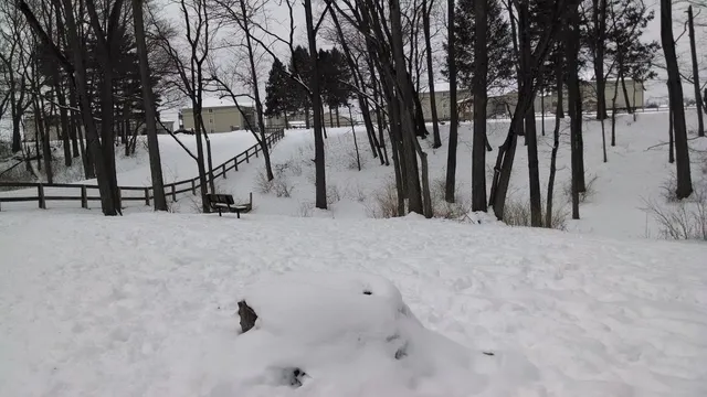 Scout Dog Park