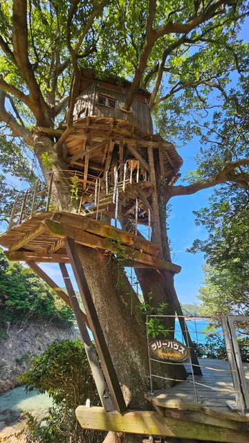 Tree House