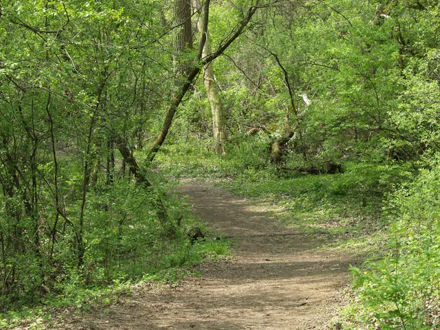 The Hollows Conservation Area