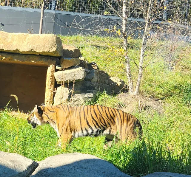 Lehner Family Zoo Gardens