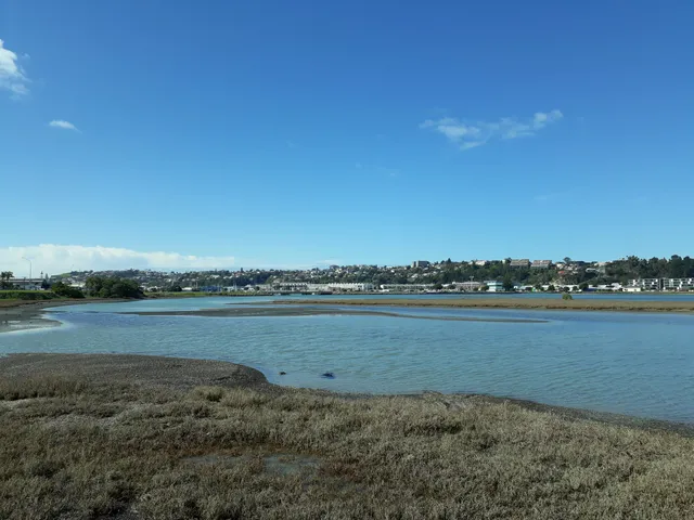 Ahuriri Estuary