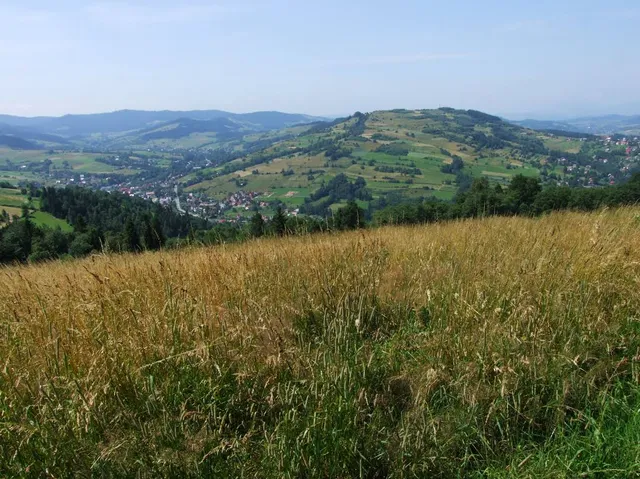 Kotelnica Potaczkowa