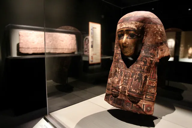 Robert and Frances Fullerton Museum of Art