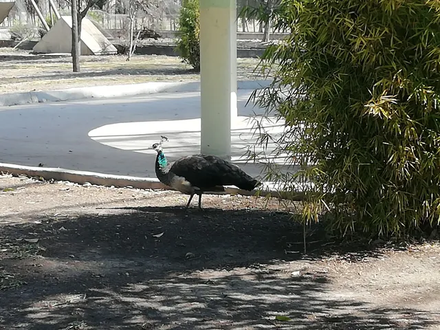 Melchor Ocampo Ecological Park
