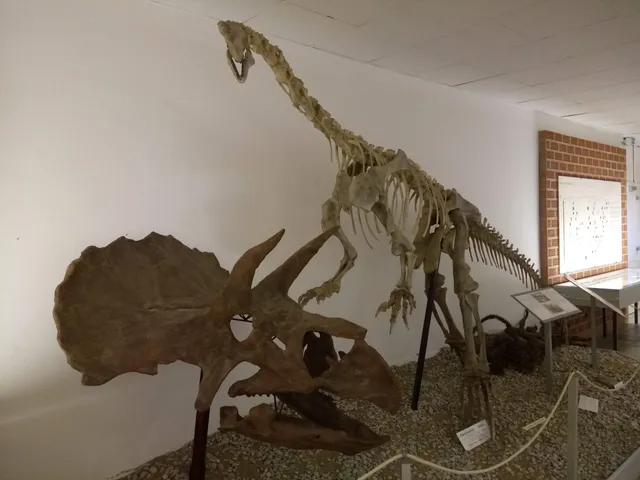 Freunde des Fossilien Steindruck-Museums e.V.