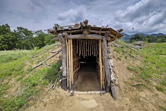 ウメノキイセキ