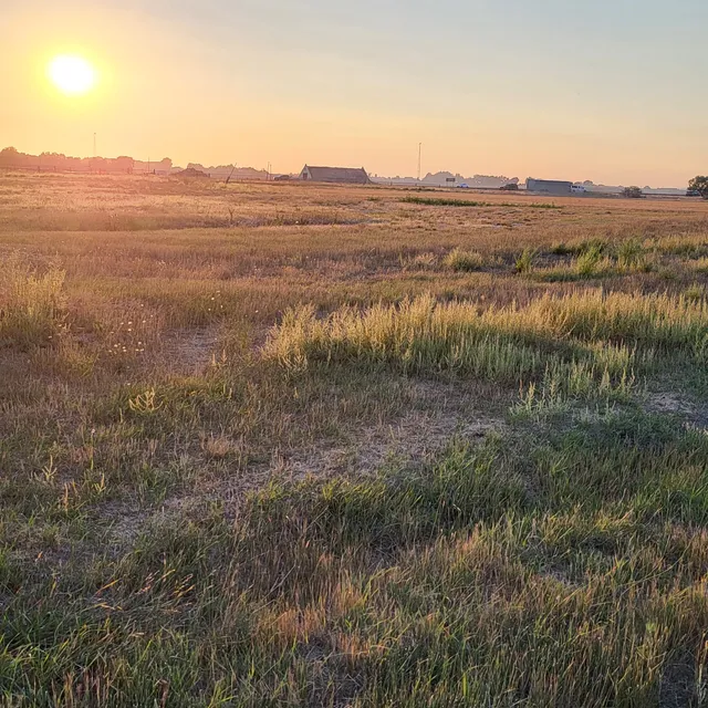 Idaho Falls Dog Park