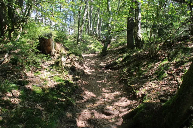 Traumschleife Stausee-Tafeltour