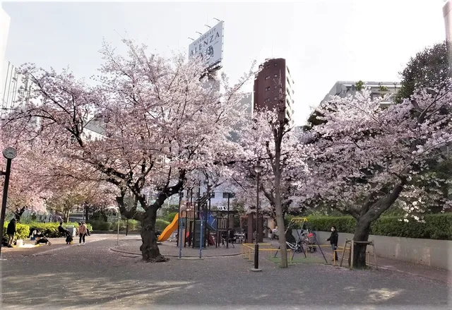 Mikawadai Park