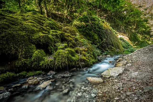 Il Percorso delle Acque