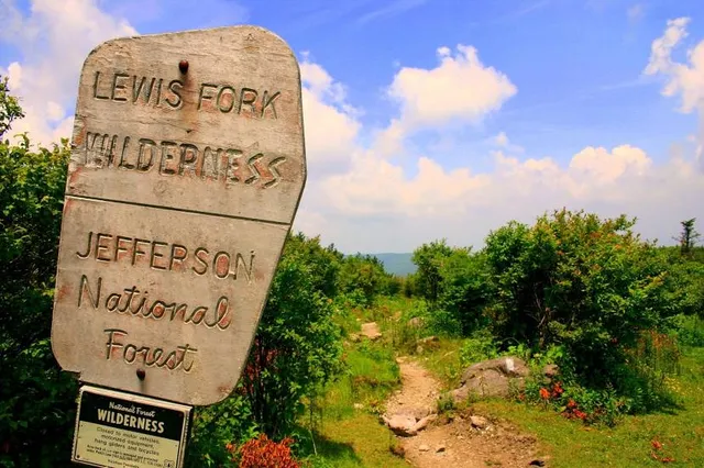 Lewis Fork Wilderness