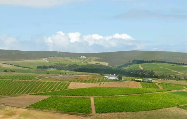 Bouchard Finlayson Winery