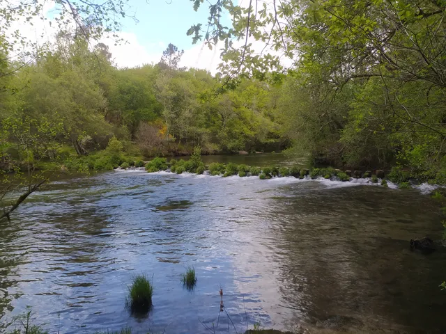 Senda fluvial del río Tea