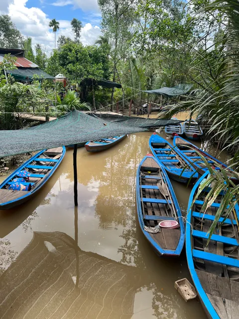 Khu vườn màu tím mạnh Trần cồn Thới Sơn