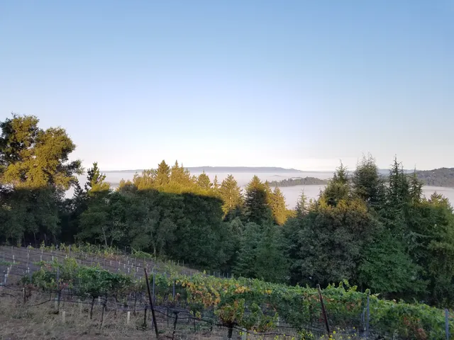 Silver Mountain Vineyards