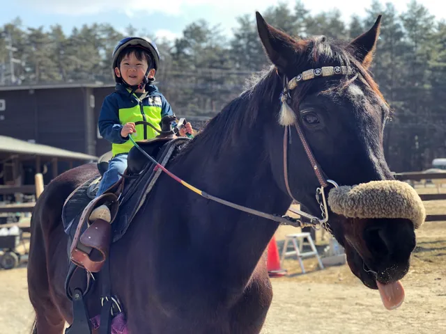 ヤツガタケロングライディング