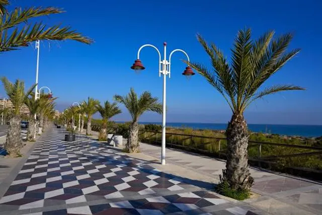 Playa Elche