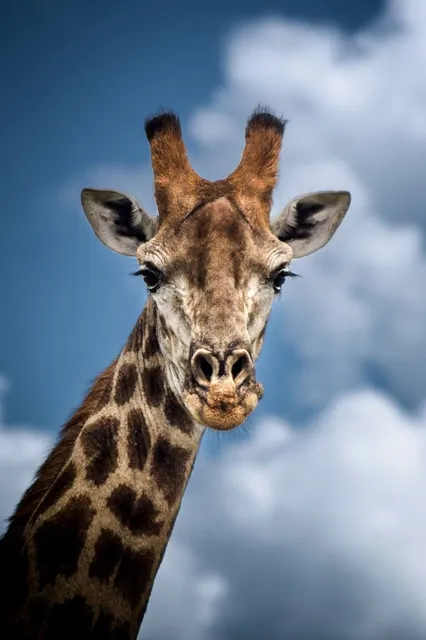 Zuka Private Game Reserve