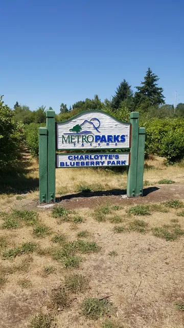 Charlotte's Blueberry Park