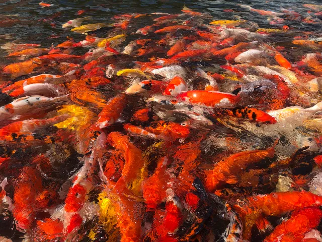 Klong Yuan Chuanrak, Nakhon Sawan