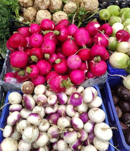 Root's Country Market & Auction