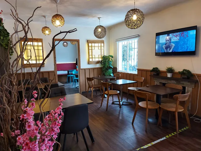 Sikdorak Viña del Mar