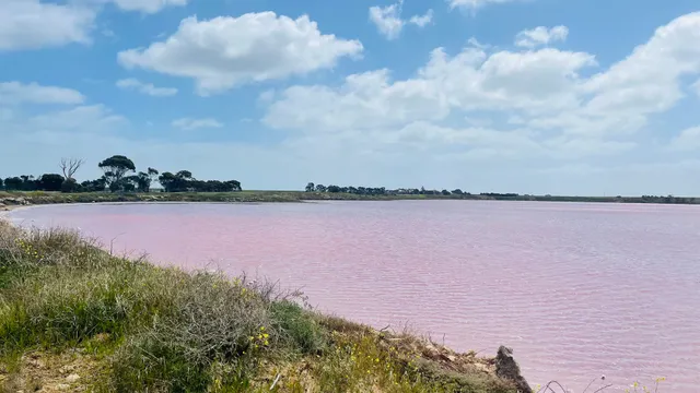 Pink Lake