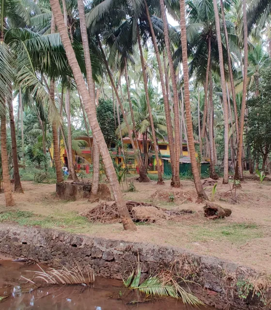 Hotel Coconut Inn Goa