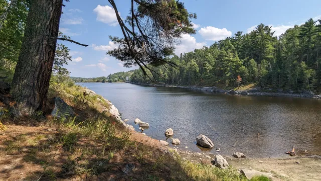 Tunnel Island (Waa’say’Gaa’Boo) Trail