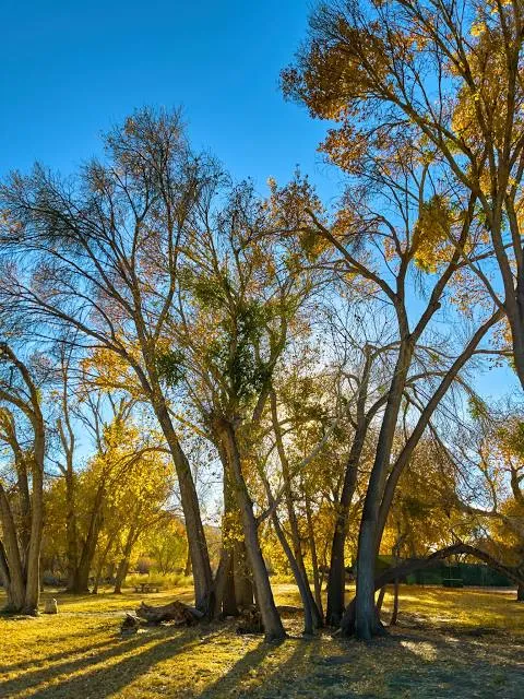 Covington Park Community Center