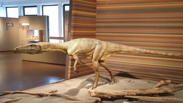 Bündner Naturmuseum