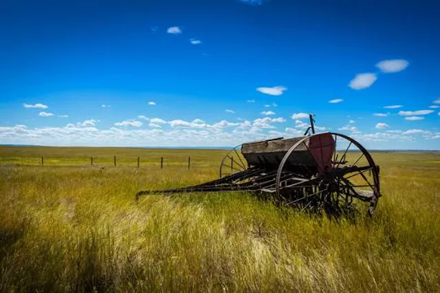Plains Conservation Center