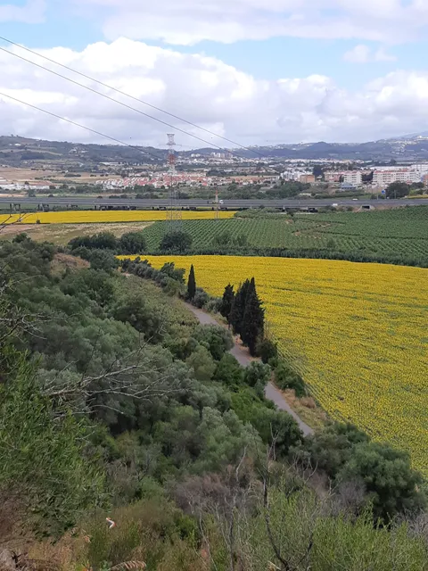 Monte dos Castelinhos (Roman ruins)