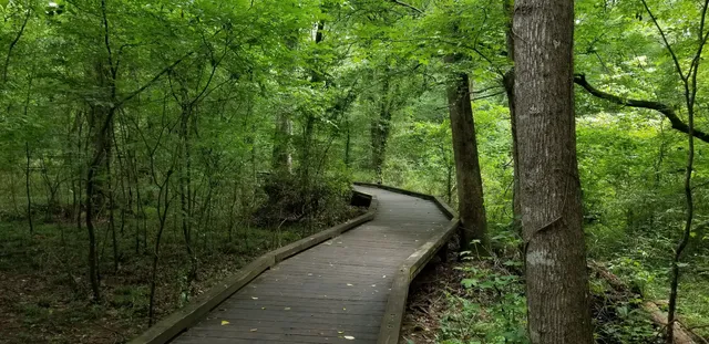 Flat Creek Nature Area