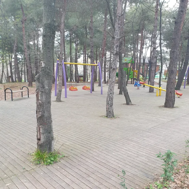 Meşe Orman Park