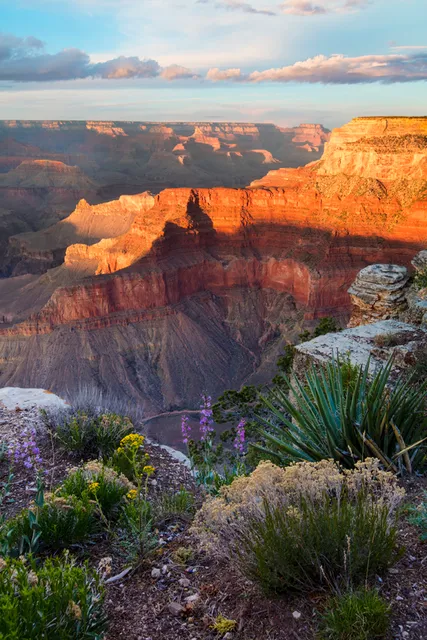 Fountain Hills Artists Gallery