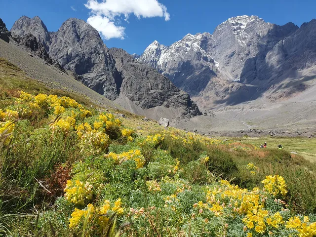 Parque Andino Juncal