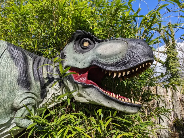 Dino Park at Hetland