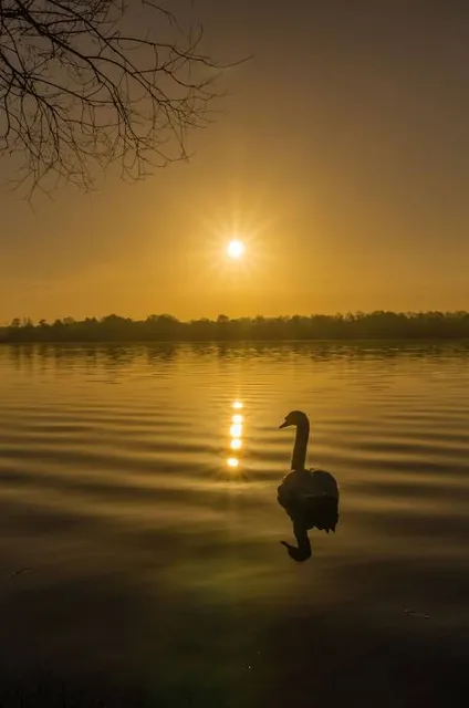 Nieder Neuendorfer See