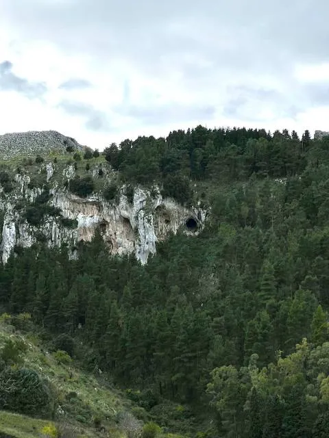 Pineta di Grotta Grattara