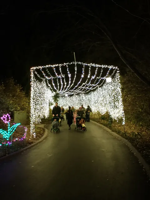 Wild Lights at the STL Zoo