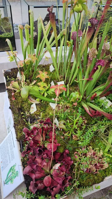 Botanická zahrada Třeboň