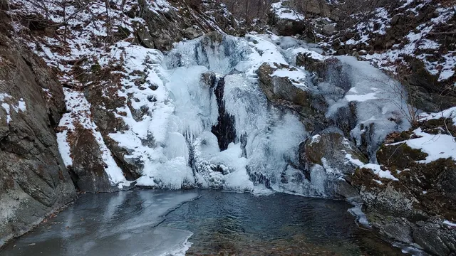 도사곡휴양림 야영장