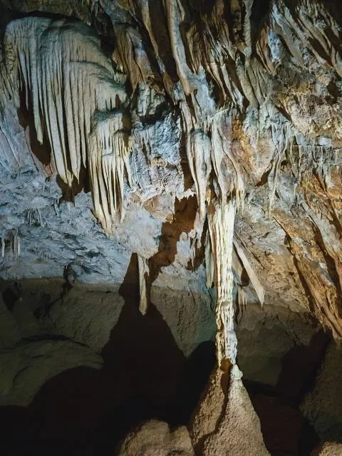 Municipality of Kalavryta