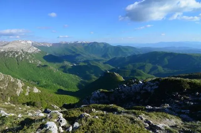 Monte Tarino, 1.960m.