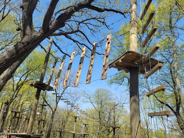 TreeRush Adventures at Fontenelle Forest