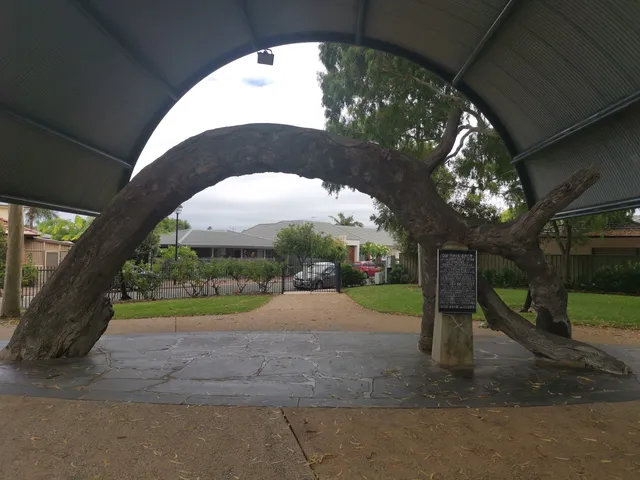 Old Gum Tree Reserve