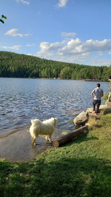 photo-3