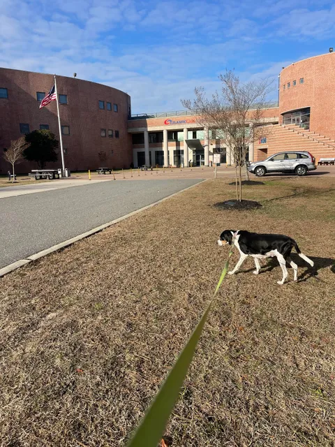 Atlantic Cape Community College