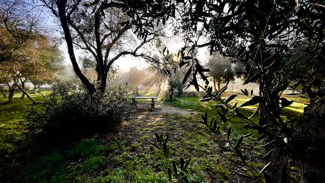 photo-1
